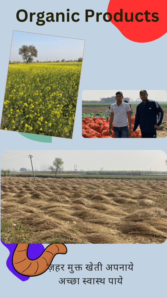 Premium Quality Organic Products in Meerut UP
