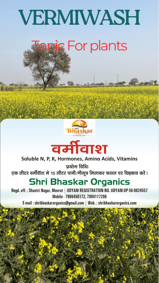 Shree Bhaskar Organics, Best Vermicompost Farm in Meerut UP
