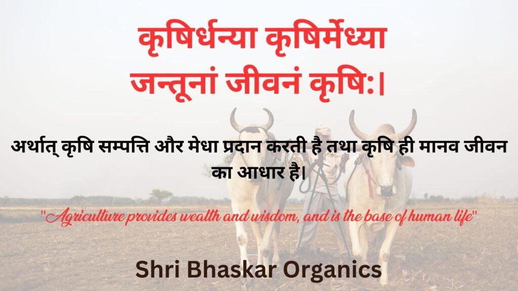 Shri Bhaskar Organics, Best Vermicompost Farm in Meerut UP