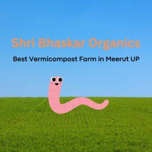 Shri Bhaskar Organics, Best Vermicompost Farm in Meerut UP