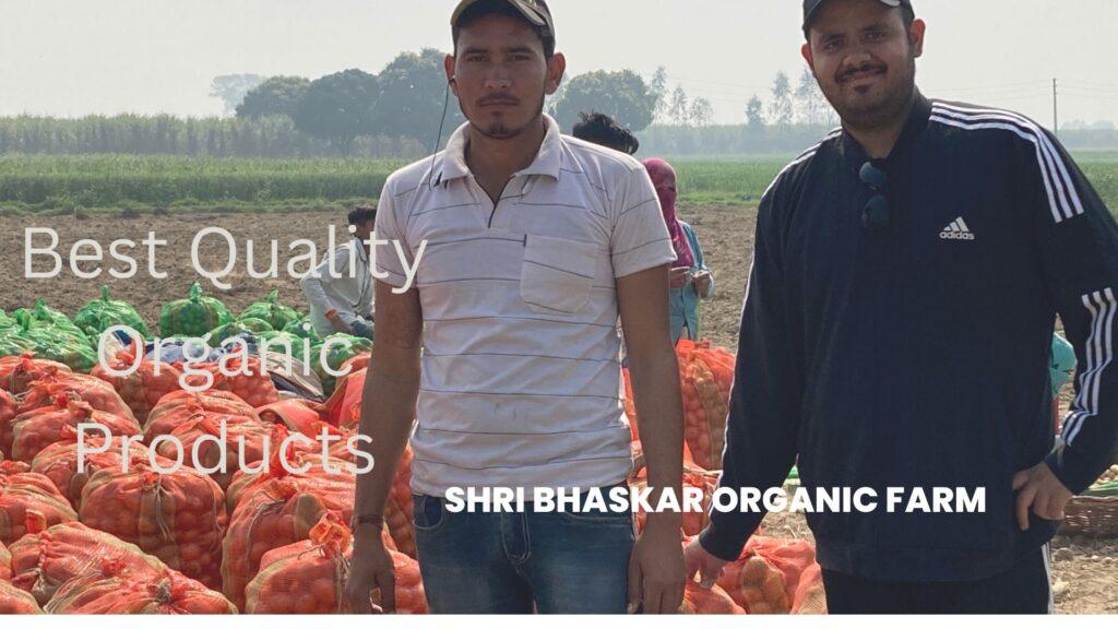 Best Vermicompost Supplier In Meerut - Shri Bhaskar Organics