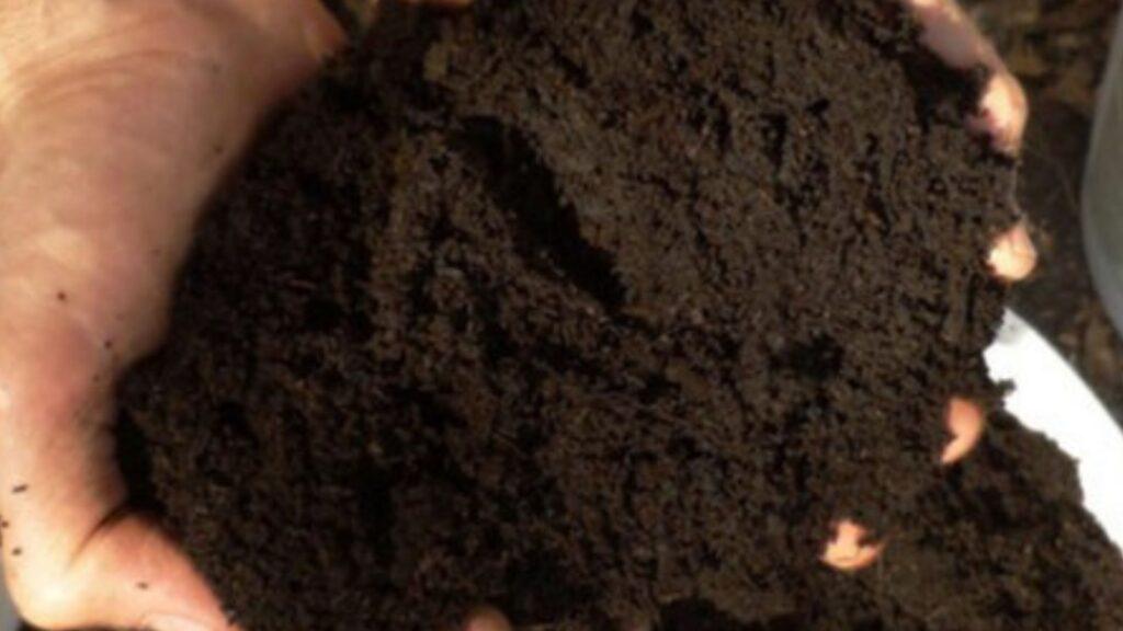 Best Vermicompost Supplier In Meerut - Shri Bhaskar Organics