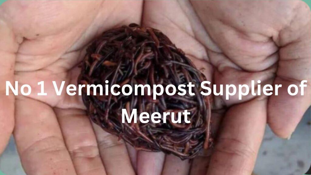 Best Vermicompost Supplier In Meerut - Shri Bhaskar Organics