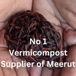 Shri Bhaskar Organics, Best Vermicompost Farm in Meerut UP