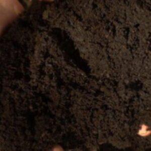 Shri Bhaskar Organics, Best Vermicompost Farm in Meerut UP